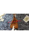 Hermes Birkin 30CM Tote Bags Litchi Leather H30LI Wheat Replica