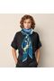 Hermes Scarf HEC00304 Replica