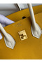 Hermes HSS Birkin 25 Bicolor Bag in Jaune d'or and Craie Epsom Calfskin Replica