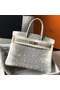 Hermes Birkin 25cm Bag In Ombre Embossed Natural Lizard  Replica