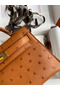 Hermes Kelly Mini II Sellier Handmade Bag In Gold Ostrich Leather  Replica