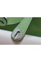 Hermes mini Lindy Togo Leather Bag LD19 green&Silver-Tone Metal  Replica