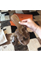 Hermes Oasis Sandals In Taupe Shiny Niloticus Crocodile  Replica