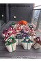 Hermes Picotin Lock 18cm Bag Canvas HPL8618T Sakura  Replica