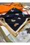 Hermes Scarf HEC00293  Replica