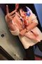 Hermes Scarf HMS00188  Replica