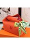 Hermes TROUSSE BRIDE-A-BRAC 25699 orange  Replica