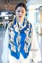Hermes Scarf HEC00113 Replica