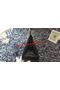 Hermes Birkin 30CM Tote Bags Litchi Leather H30LI Black Replica
