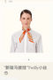 Hermes Scarf HEC00003 Replica