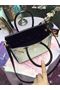 Hermes Birkin 25CM Shoulder Bag White&Black Croco Leather H25 Gold Replica