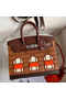 Hermes Brown Sac Faubourg Birkin 20 Sellier Limited Edition Bag Replica