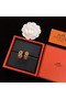 Hermes Earrings CE5590 Replica