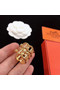Hermes Earrings CE5590 Replica