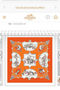 Hermes Scarf HMS00174 Replica