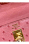 Hermes Kelly 25cm Handmade Bag In Terre Cutie Ostrich Skin Replica