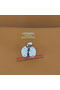 Hermes Lindy 30CM Grainy Leather Shoulder Bag H6207 Wheat Replica