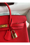 Hermes Birkin 25 Handmade Bag In Red Clemence Leather Replica