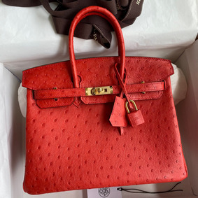 Hermes Birkin 25 Retourne Handmade Bag In Red Ostrich Leather HMSI419YYI7