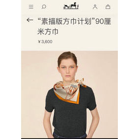 Cheap Hermes Scarf HMS00087 HMSE04OQL2F