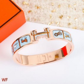 Hermes Bracelet CE5851 Replica HMS87734E9F
