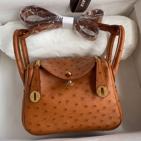Fake Hermes Mini Lindy Handmade Bag In Gold Ostrich Leather HMSUBFS621T