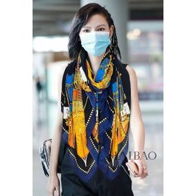 Hermes Scarf HEC00147 1:1 Replica HMS63EXRTYB