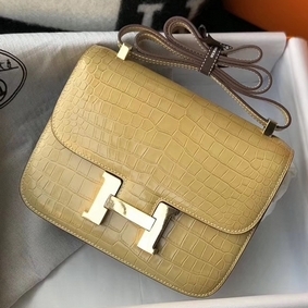 Hermes Constance 24cm Bag In Jaune Poussin Embossed Crocodile 1:1 Replica HMS7XXG49FO