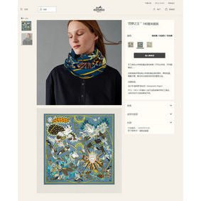 Hermes Scarf HEC00386 1:1 Replica HMS8HO9SRGP