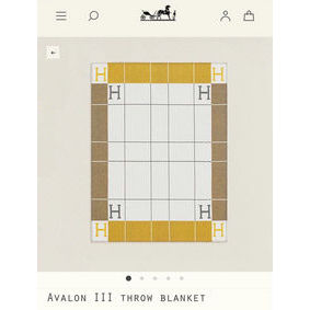 Hermes Blanket HEC00546 1:1 Replica HMS78GO2C4M