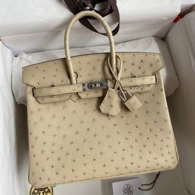 Hermes Birkin 25 Retourne Handmade Bag In Parchemin Ostrich Leather Replica HMSCT3TV438