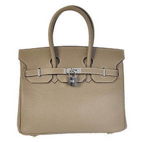 Hermes Birkin 25CM Tote Bags Togo Leather Dark Grey Silver HMSLRYD7L55