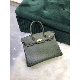Hermes Birkin Bag Original Leather Ostrich skin HBK2530 blackish green HMS062XYSL7