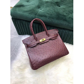 Hermes Birkin Bag Original Leather Ostrich skin HBK2530 Burgundy HMSJX8I6I04