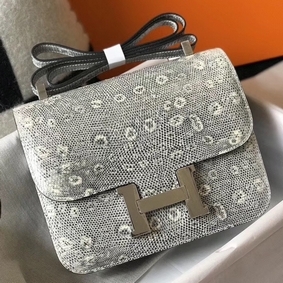 Hermes Constance 24cm Bag In Ombre Embossed Natural Lizard Replica HMS2WZ89E53