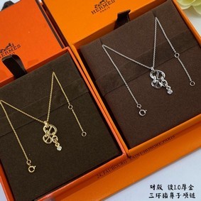 Hermes Necklace CE7849 Replica HMS0FH73V7J