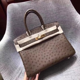 Hermes Real ostrich leather birkin bag BK35 brown Top Replica HMSKA798GI3