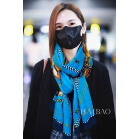 Hermes Scarf HEC00149 Top Replica HMSFYEWU545