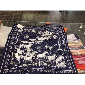 Hermes Scarf HEC00212 Top Replica HMS47934K6I