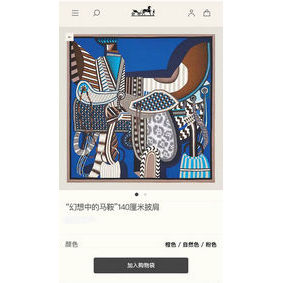 Hermes Scarf HEC00352 Top Replica HMSY765VW5C