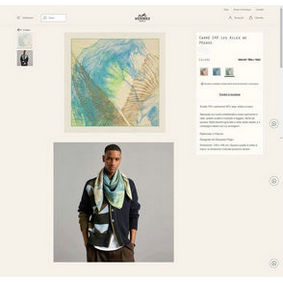 Replica Hermes Scarf HEC00487 HMSN29377BC
