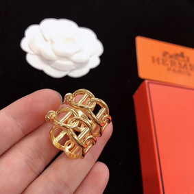 Copy Hermes Earrings CE5220 HMSML6Q69R1