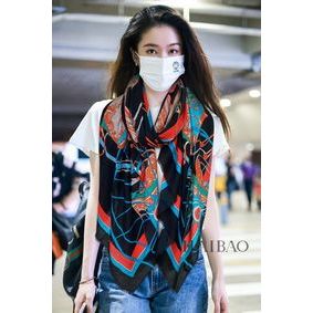 Hermes Scarf HEC00109 Replica HMS63EXRTYB