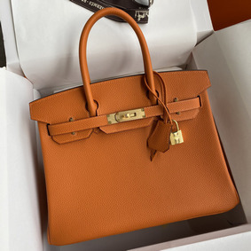 Hermes Birkin 25 Handmade Bag In Orange Clemence Leather Top Replica HMS04B9OS9E