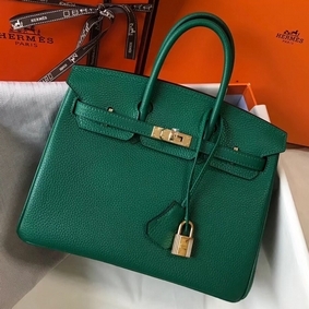 AAA Hermes Birkin 25cm Bag In Vert Vertigo Clemence Leather GHW HMSCUXK65SA