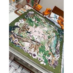 High Quality Hermes Scarf HEC00256 HMS26EVJW05