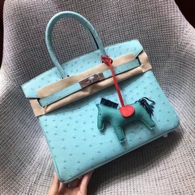Hermes Real ostrich leather birkin bag BK35 sky blue Top Replica HMS4S95I60F